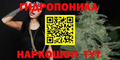 ГАЛЛЮЦИНОГЕННЫЕ ГРИБЫ Кингисепп