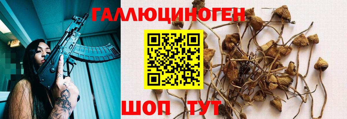 Галлюциногенные грибы Psilocybe Котельники